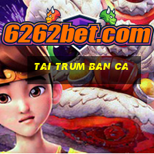 tai trum ban ca