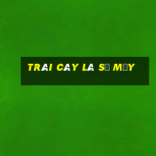 trái cây là số mấy