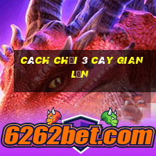 cách chơi 3 cây gian lận