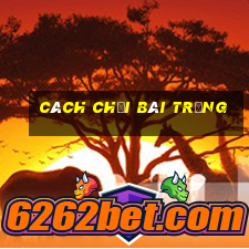 cách chơi bài trắng