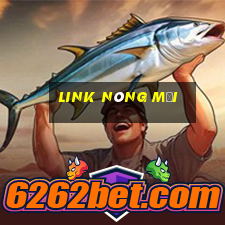 link nóng mới