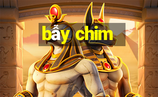 bẫy chim