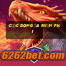 Cược bóng đá miễn phí