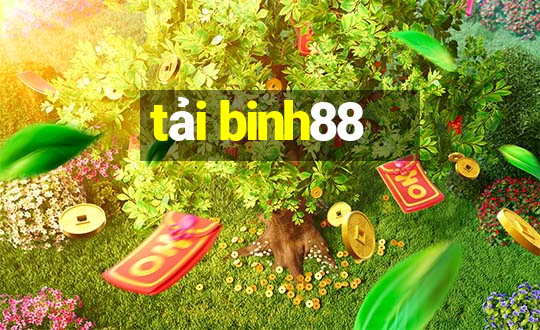 tai binh88