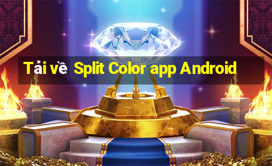 Tải về Split Color app Android