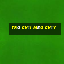 trò chơi mèo chạy