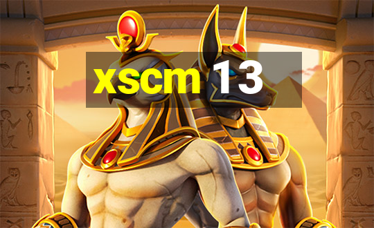 xscm 1 3