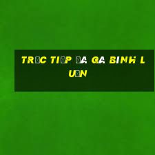 trực tiếp đá gà bình luận