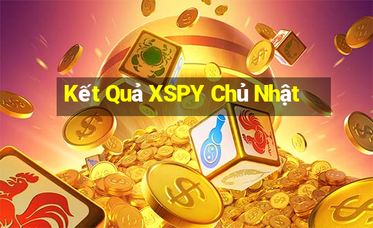 Kết Quả XSPY Chủ Nhật