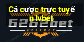 Cá cược trực tuyến lvbet