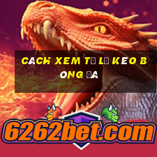 cách xem tỷ lệ kèo bóng đá