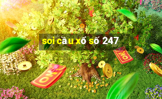 soi cầu xổ số 247