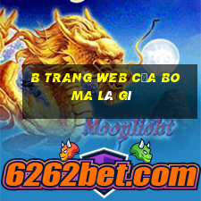 b Trang web của Boma là gì