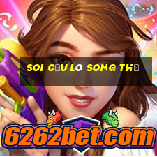 soi cầu lô song thủ