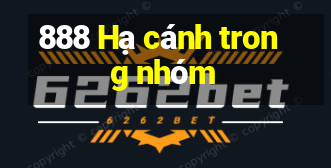 888 Hạ cánh trong nhóm