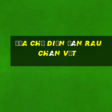 Địa chỉ Diễn đàn Rau chân vịt