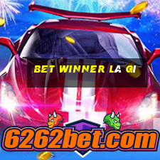 bet winner là gì