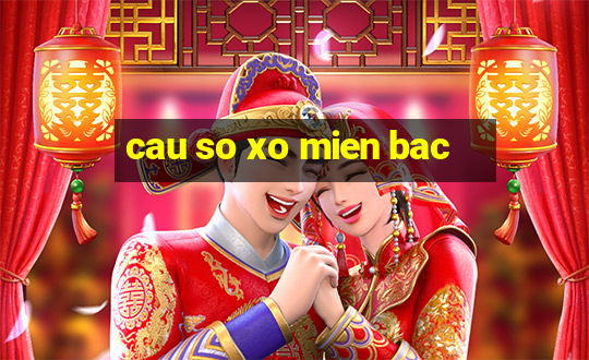 cau so xo mien bac