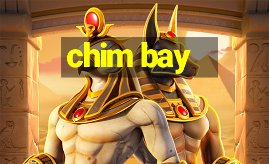 chim bay