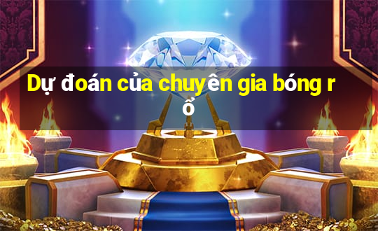 Dự đoán của chuyên gia bóng rổ