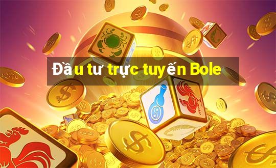 Đầu tư trực tuyến Bole