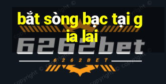 bắt sòng bạc tại gia lai