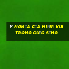 ý nghĩa của niềm vui trong cuộc sống