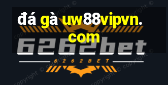 đá gà uw88vipvn.com