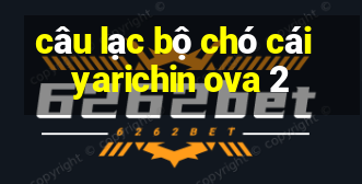 câu lạc bộ chó cái yarichin ova 2