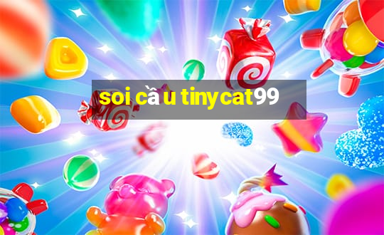 soi cầu tinycat99