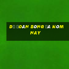 Dự đoán bóng đá hôm nay