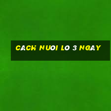 cách nuôi lô 3 ngày