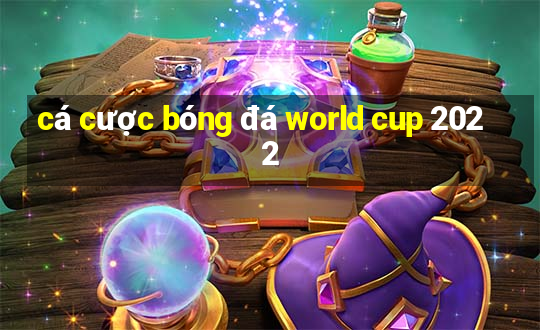 cá cược bóng đá world cup 2022