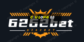 cầu lông 88