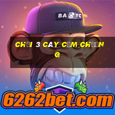 chơi 3 cây cầm chương