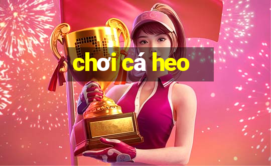 chơi cá heo