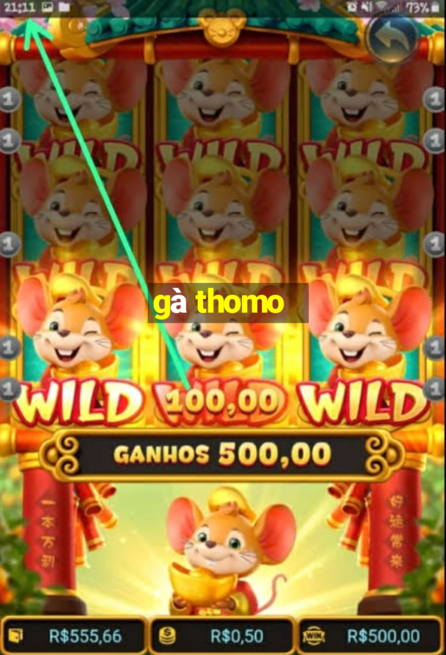 gà thomo