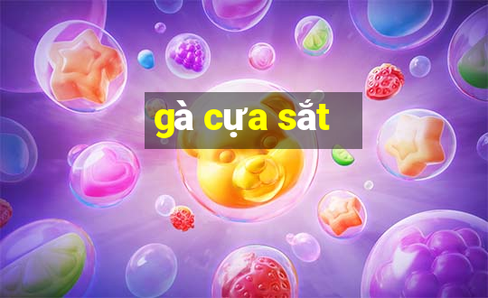 gà cựa sắt