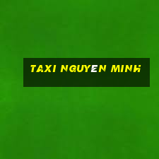 taxi nguyên minh