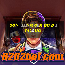 Con đường của Bo dự phòng