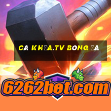 cà khịa.tv bóng đá