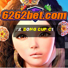 đá bóng cup c1