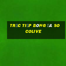 trực tiếp bóng đá socolive