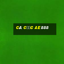 cá cược ae888