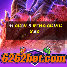 11 Chọn 5 Mạng chính xác