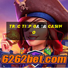 trực tiếp gà đá casino