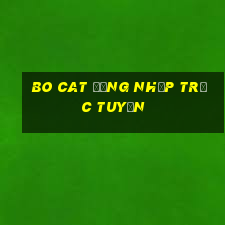 Bo Cat Đăng nhập trực tuyến