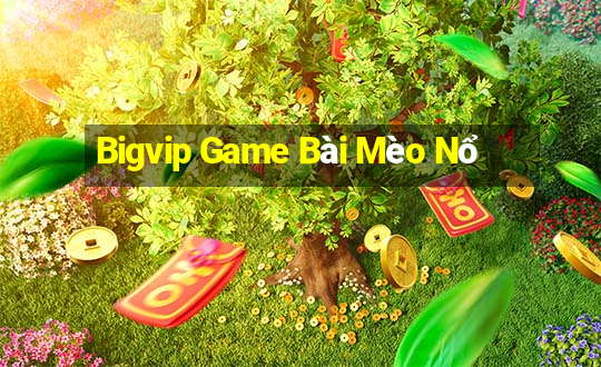 Bigvip Game Bài Mèo Nổ