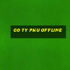 co ty phu offline