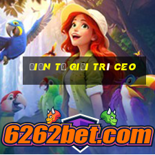 Điện tử giải trí ceo